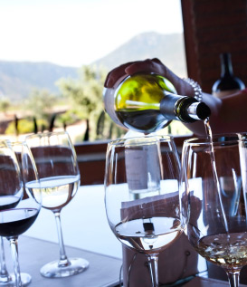 Wine Selection